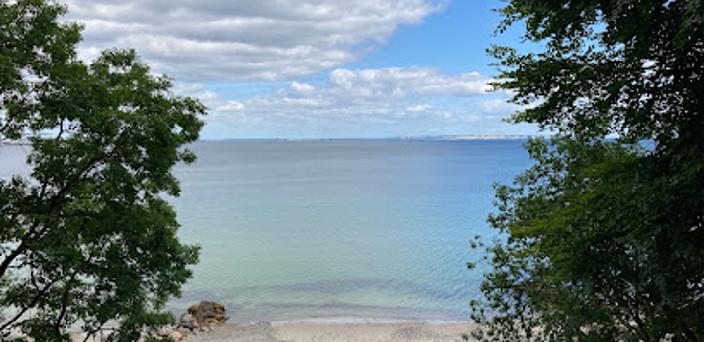 Marselisborg Deer Park