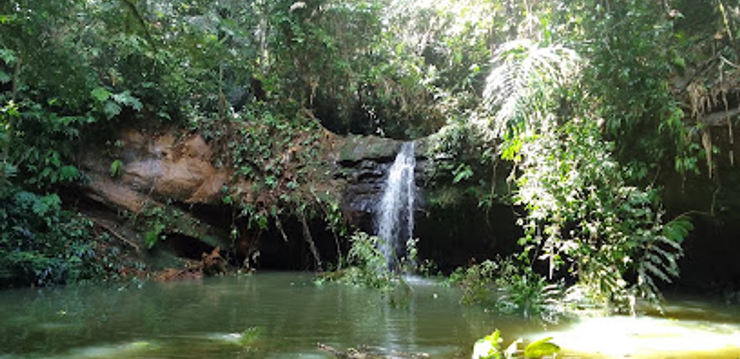 Background