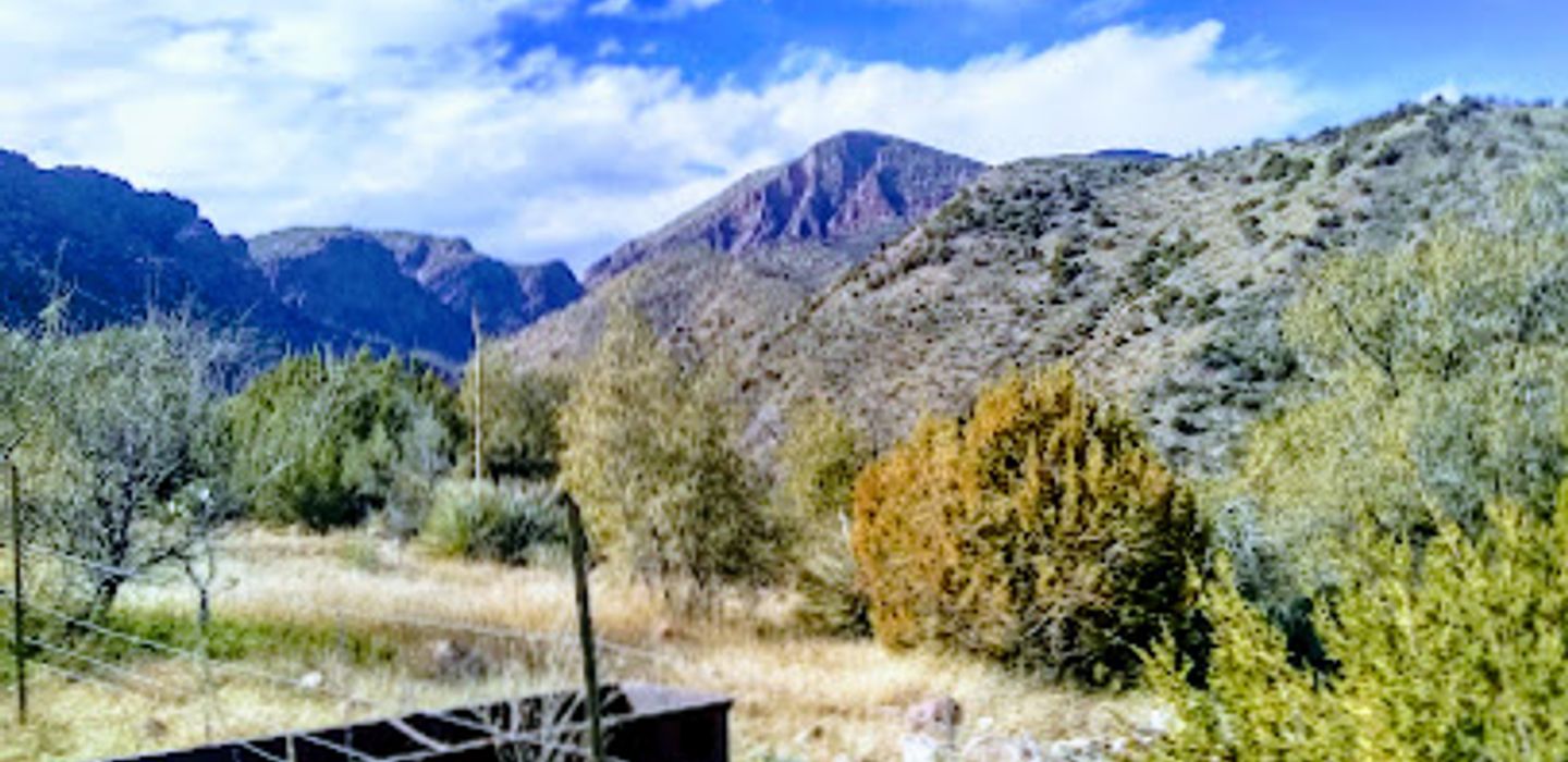 Background