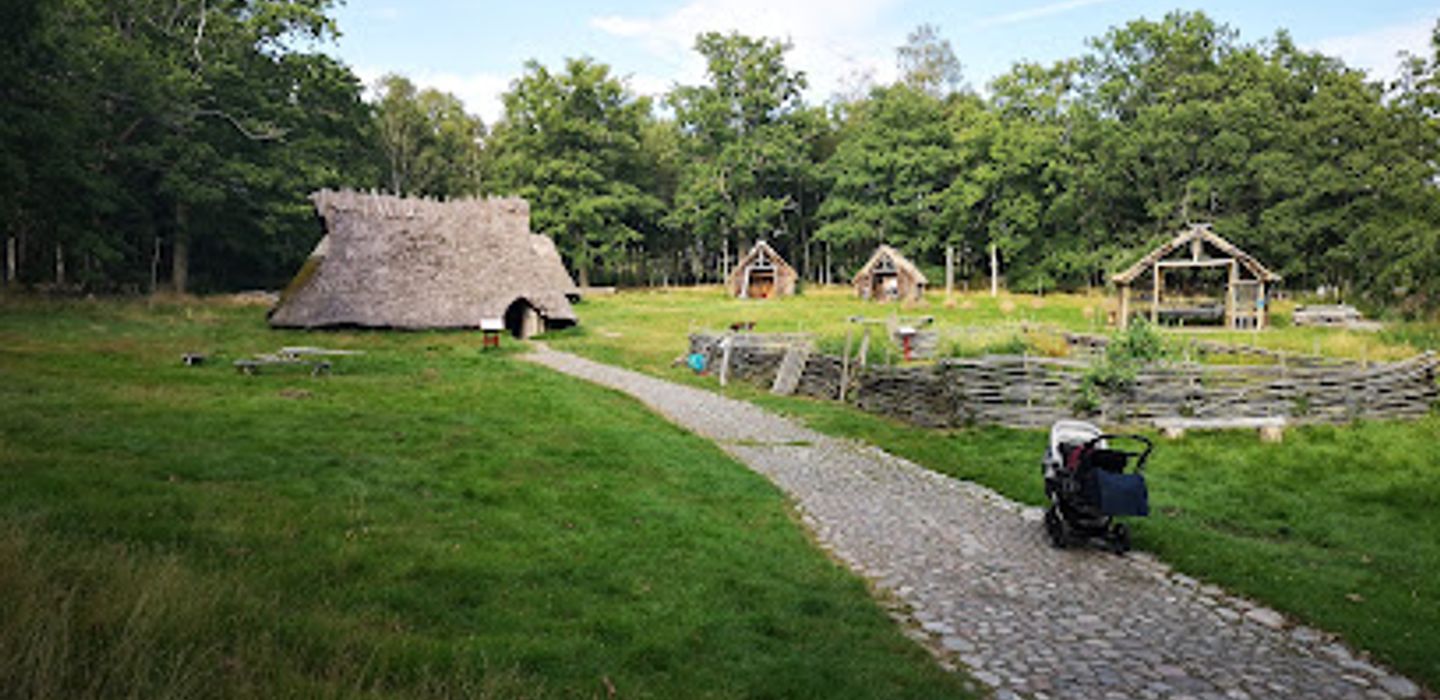 Vitlycke Museum