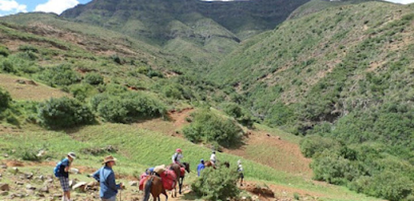 Thaba Tours