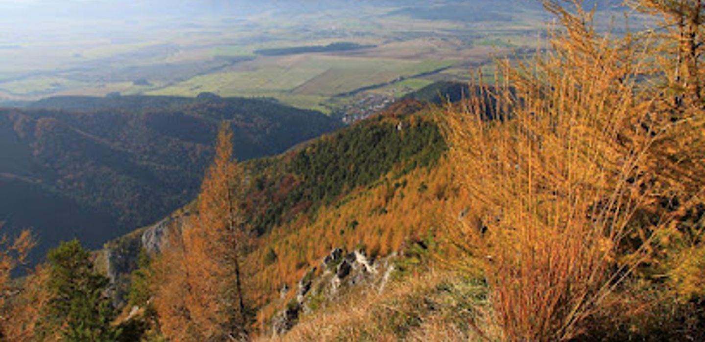 Background