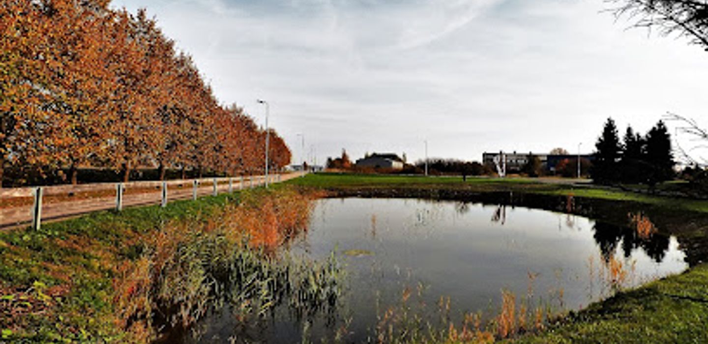 Background