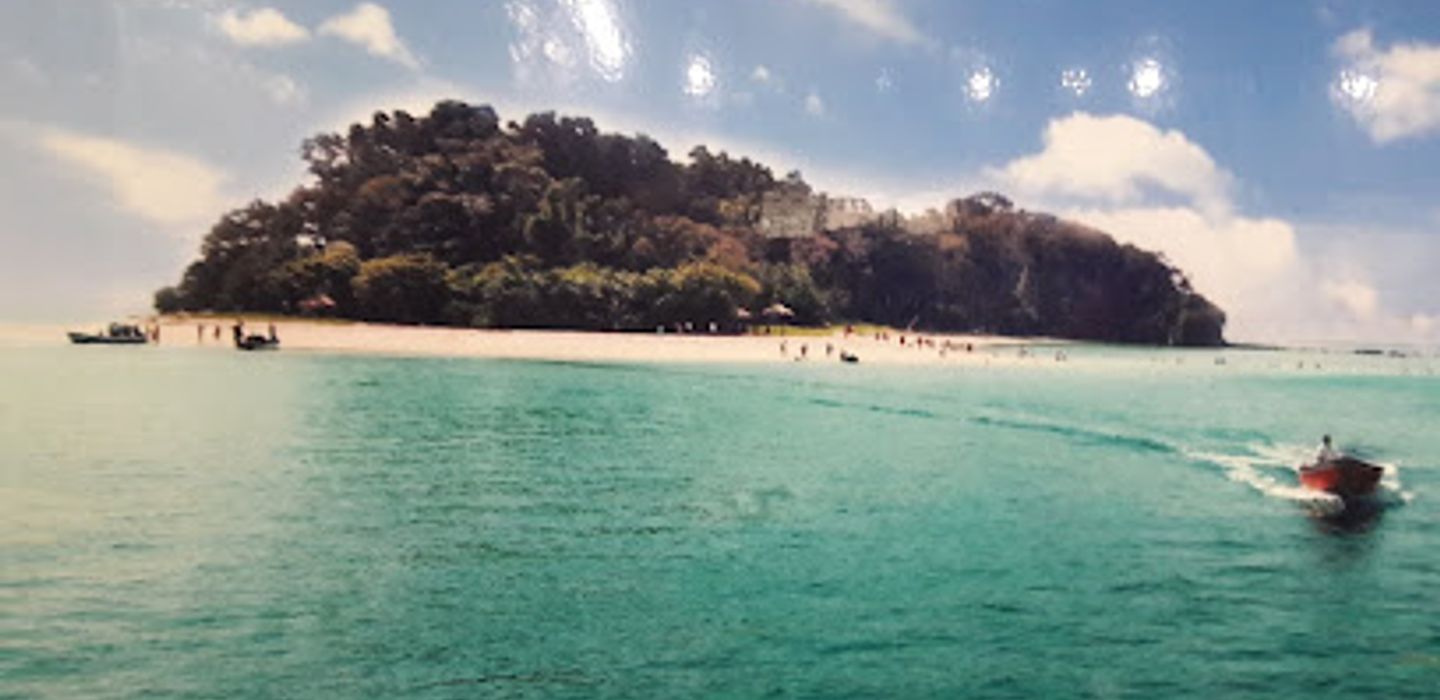 Background