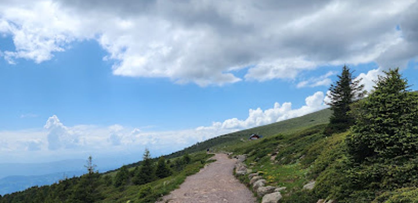Background