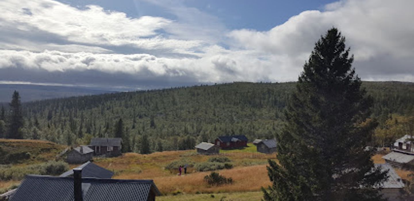 Fallmoran