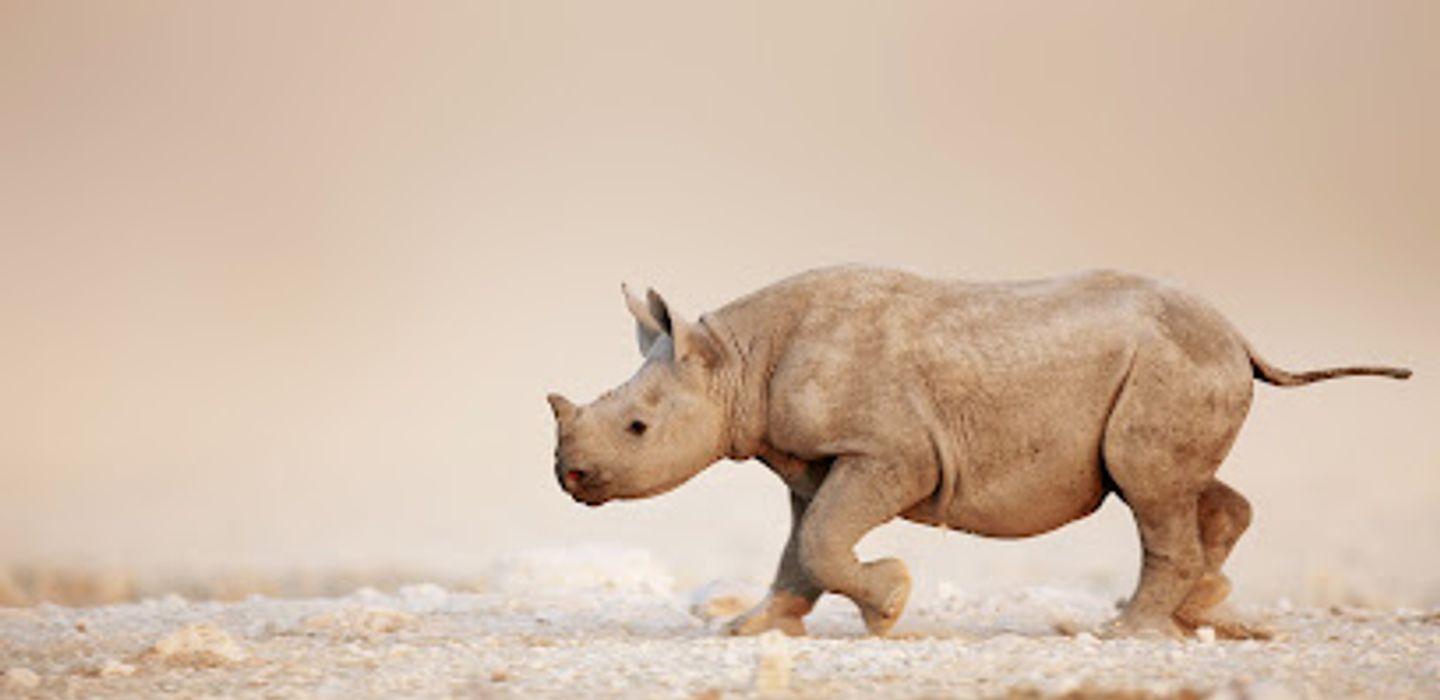Secret Namibia