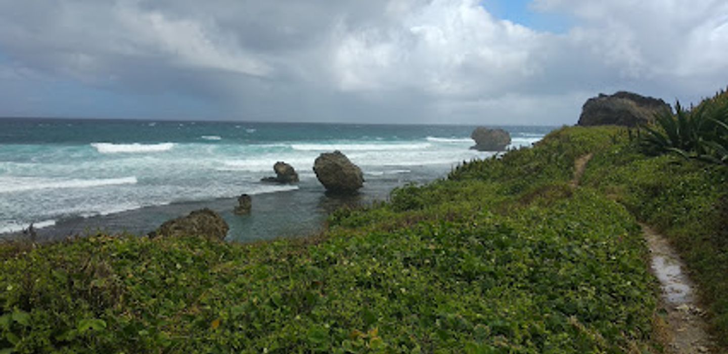 Background
