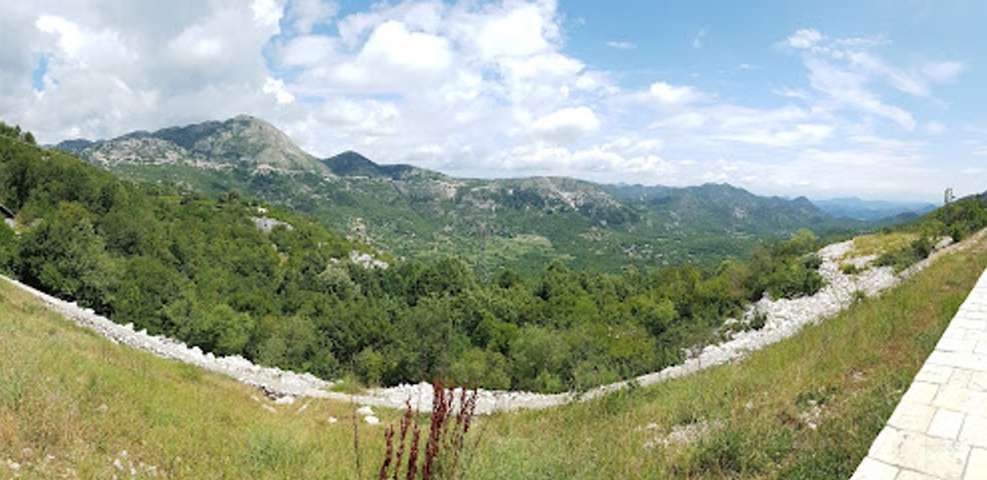 Background