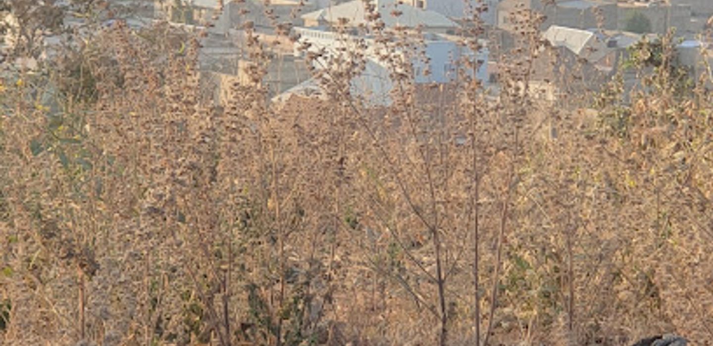 Background