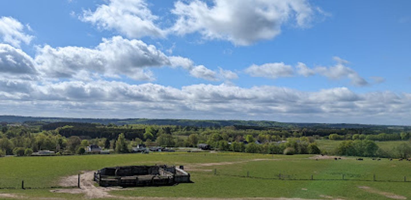 Silkeborg Rovfugleshow
