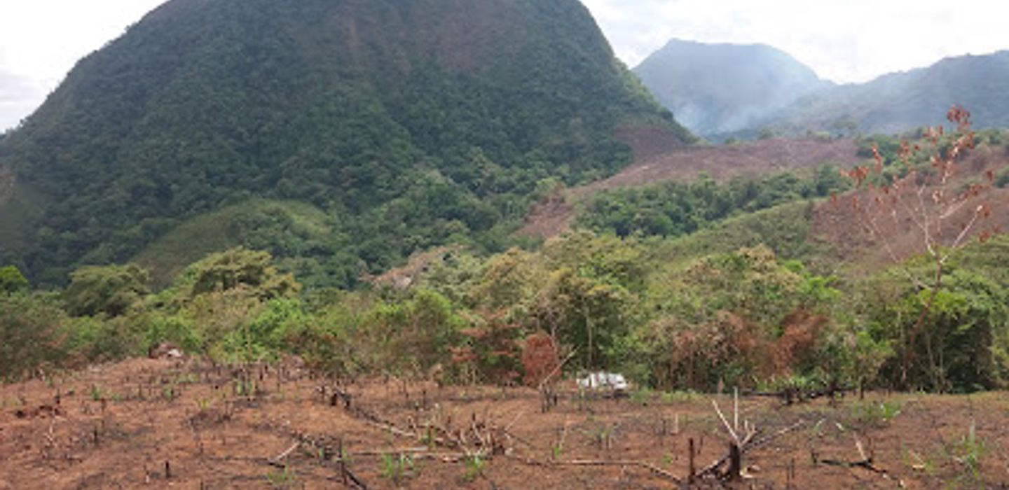 Cerro Madera
