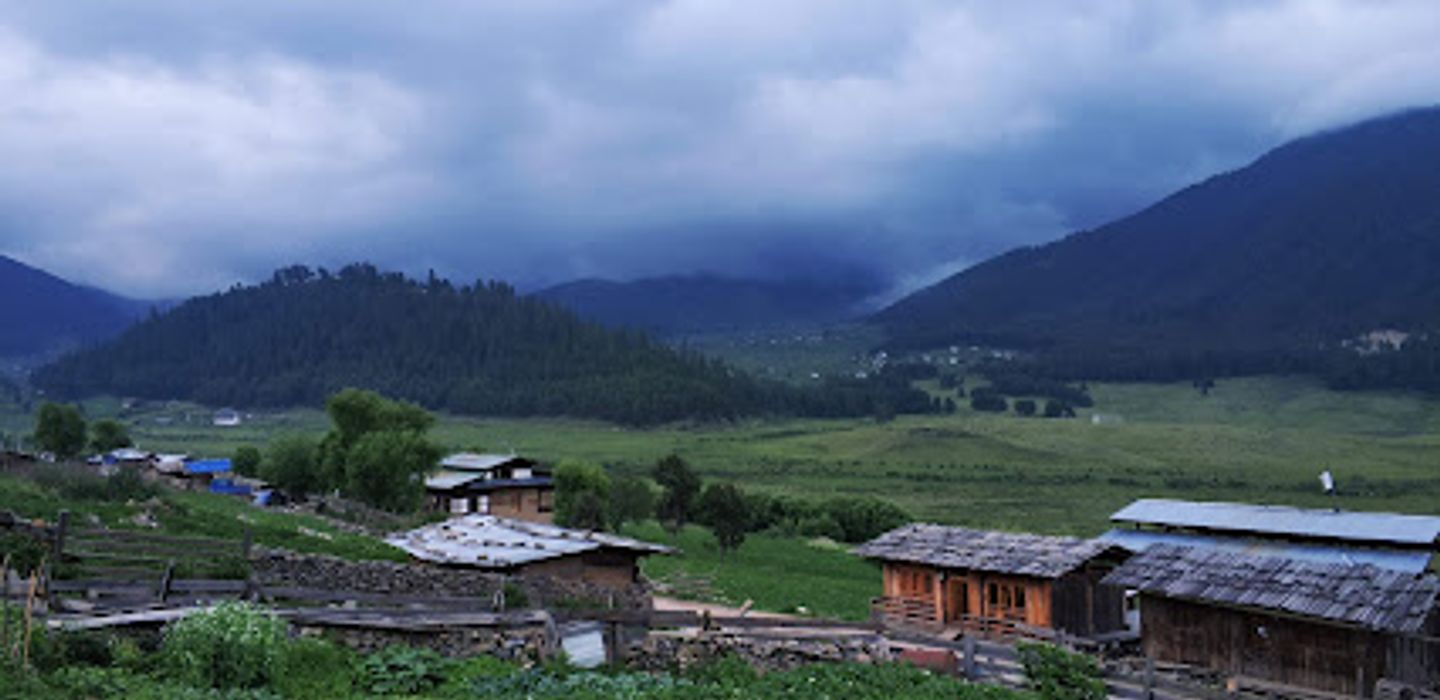 Background