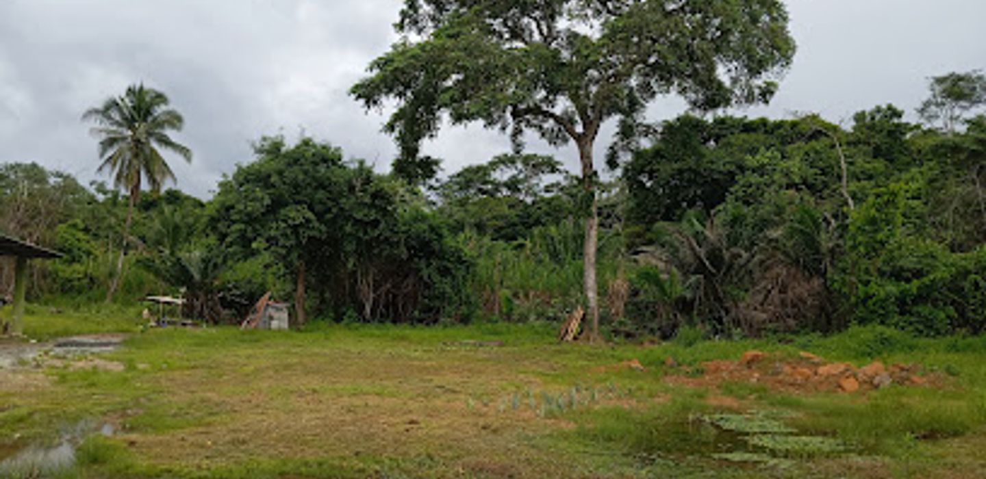 Background