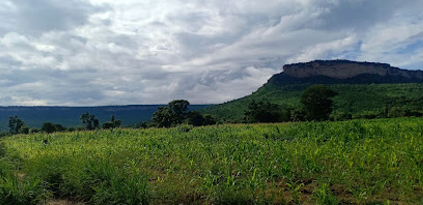 Background