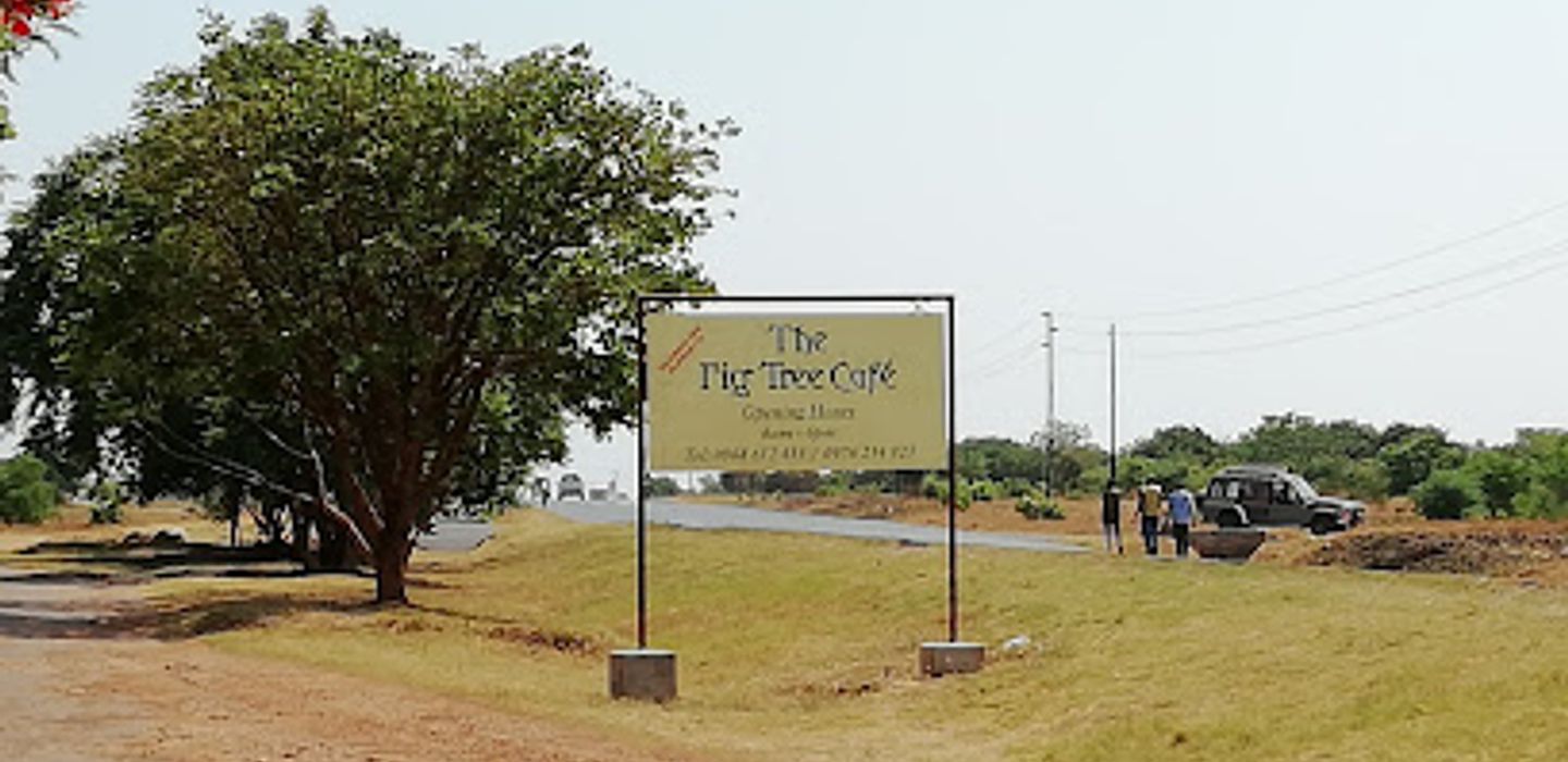 Background