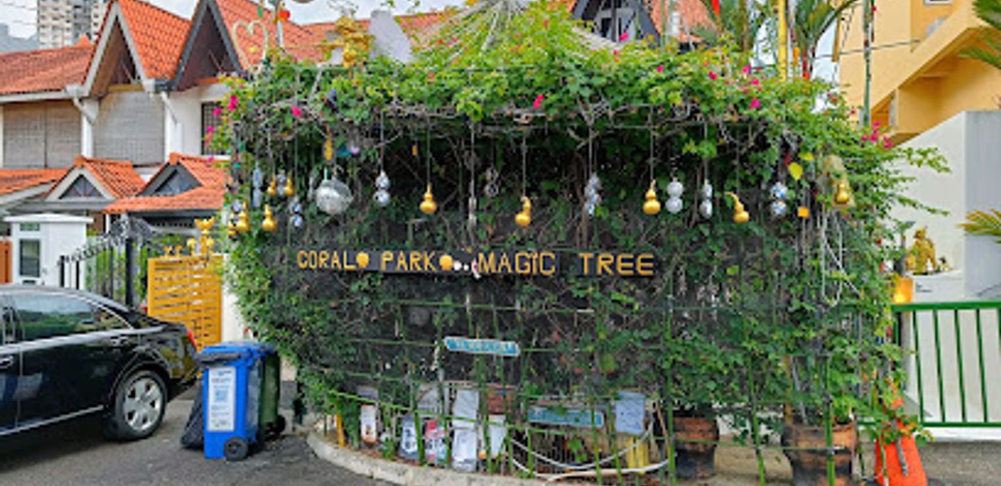 Coral Park Magic Tree