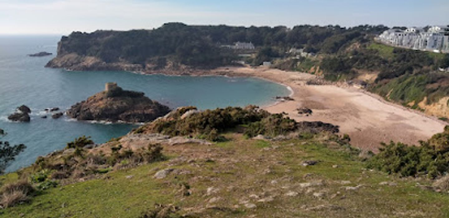 Background