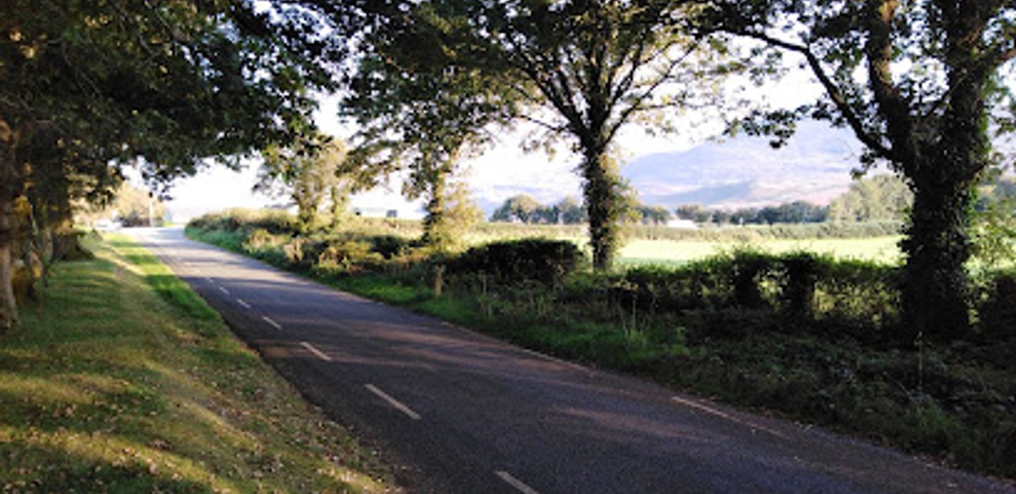 Killarney Guided Walks