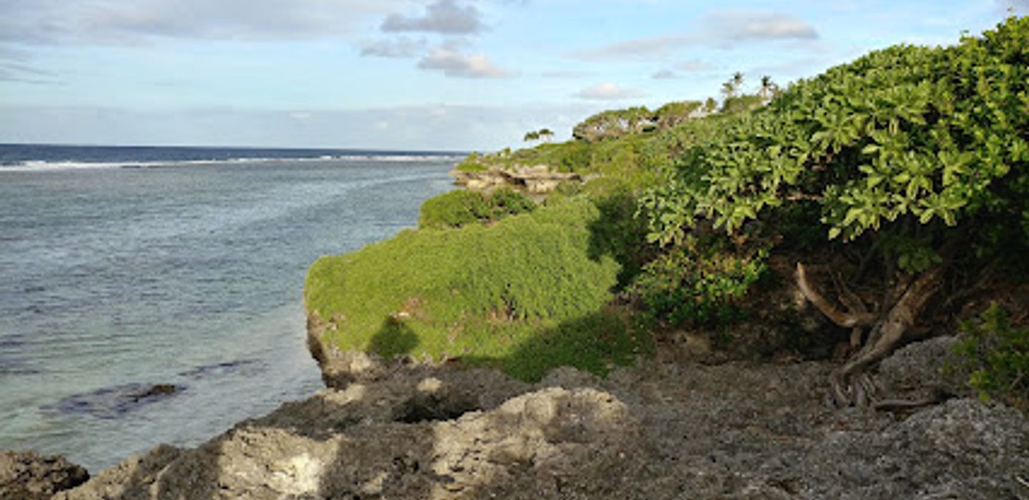 Background