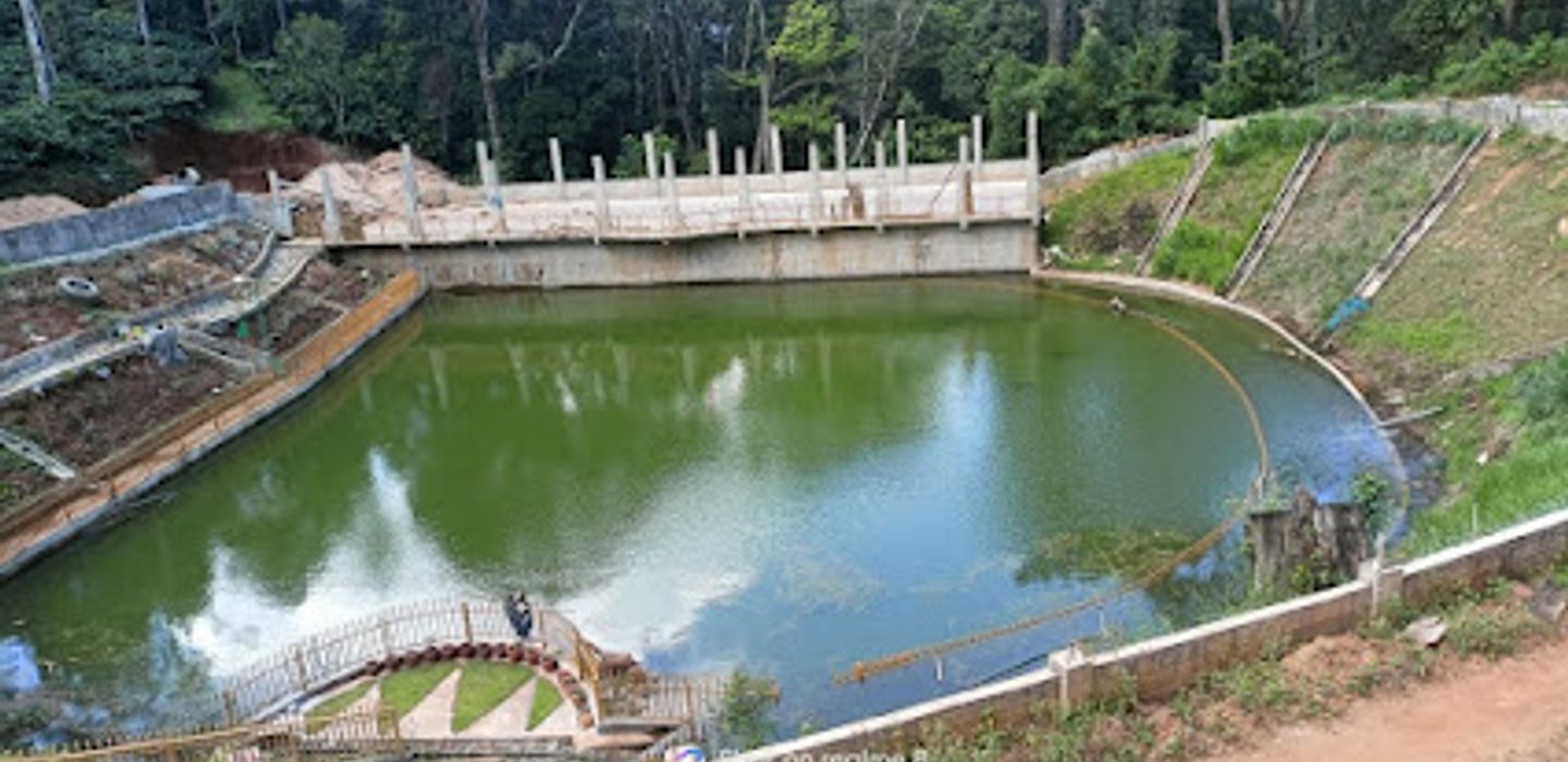 Dolphin Viewing Point