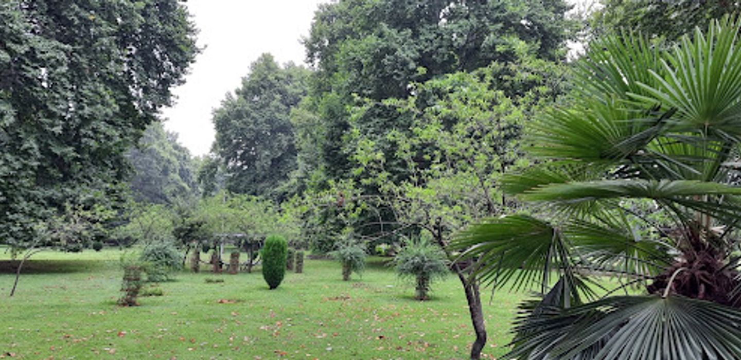 Background