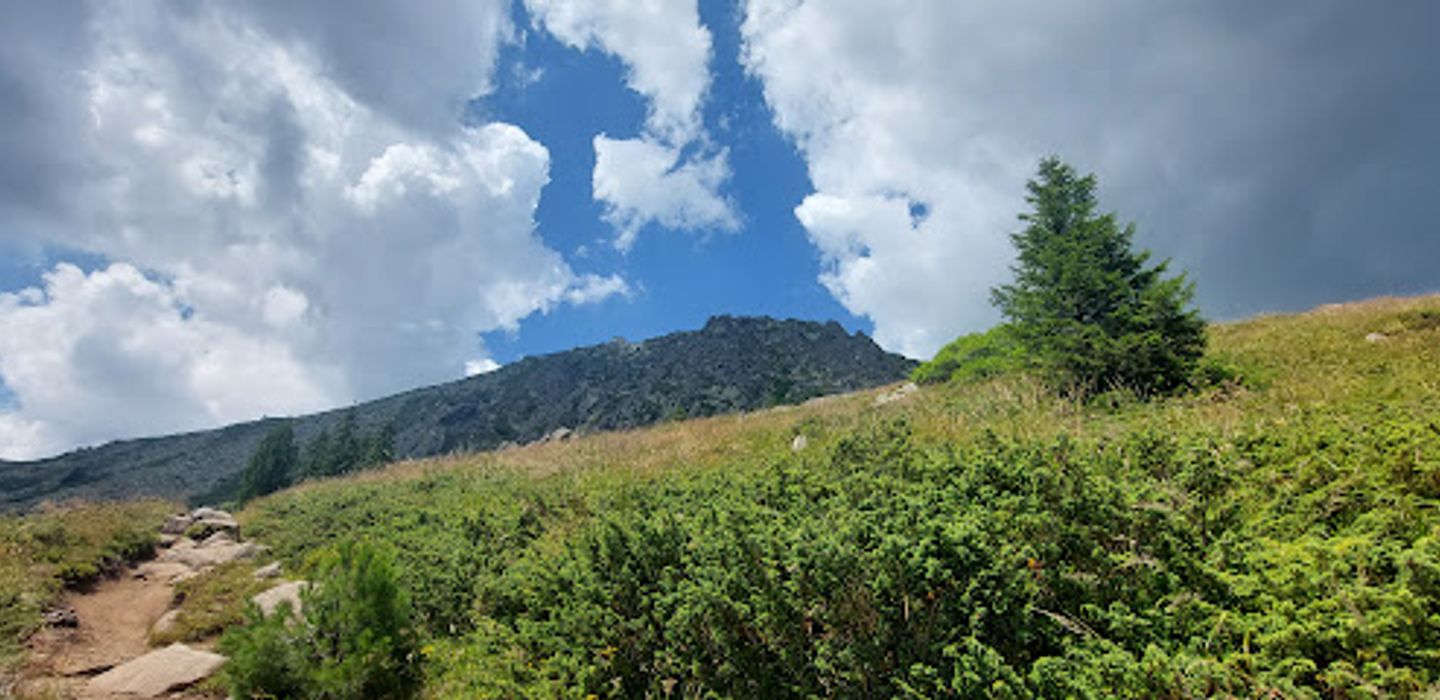 Background