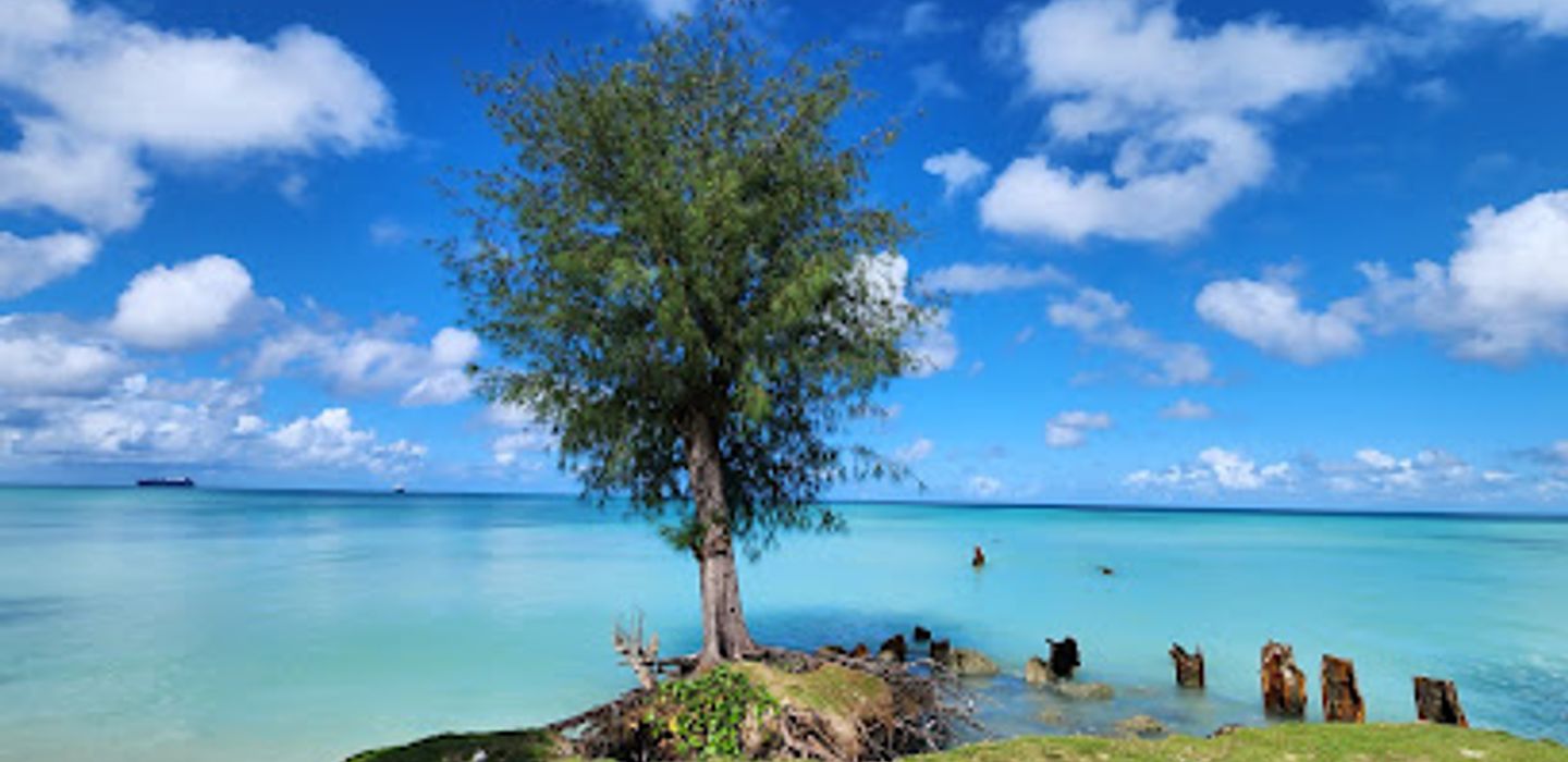 Background