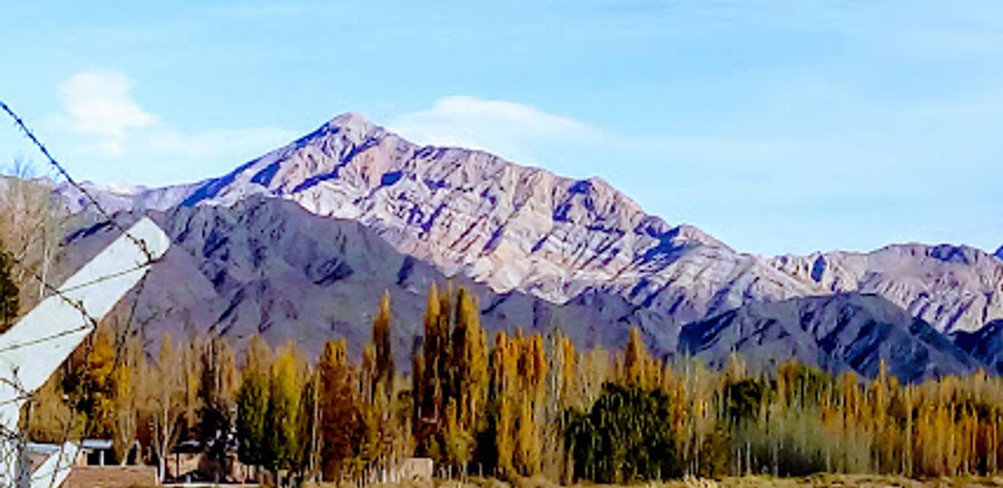 Background