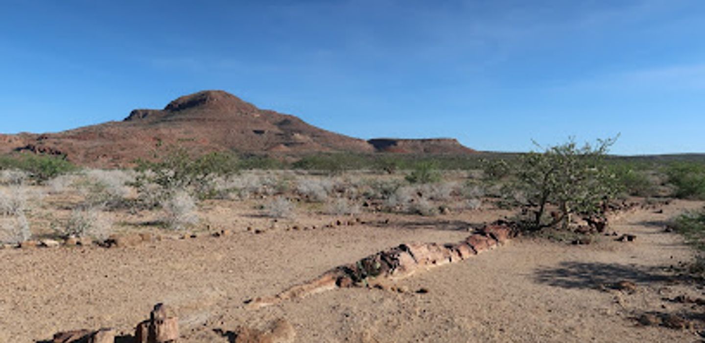 Petrified Forest