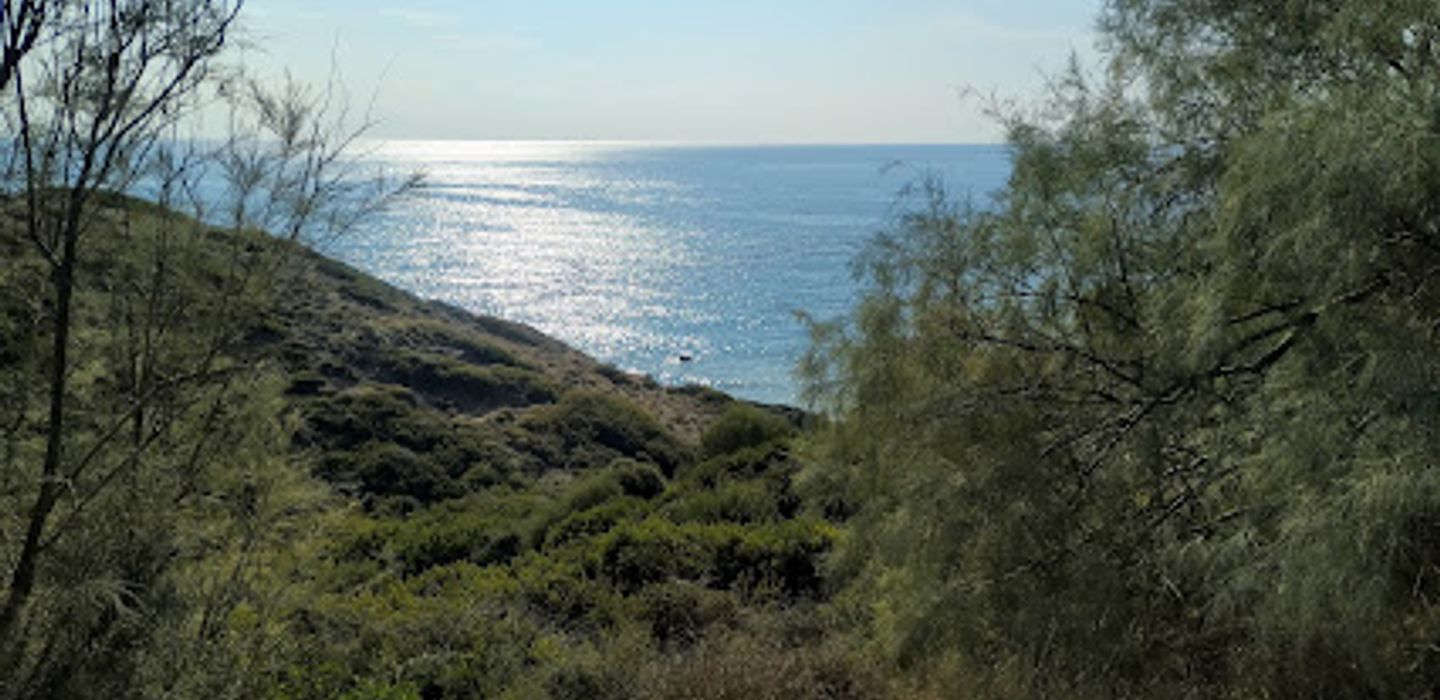 Ranti Forest Beach