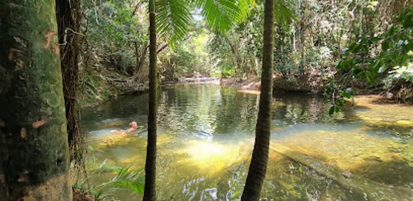 Background