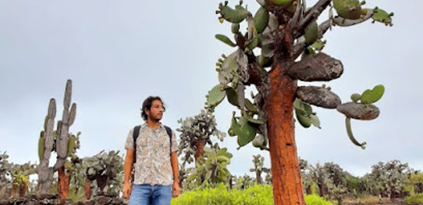 Background