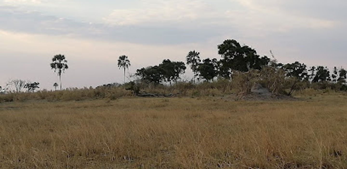 Background