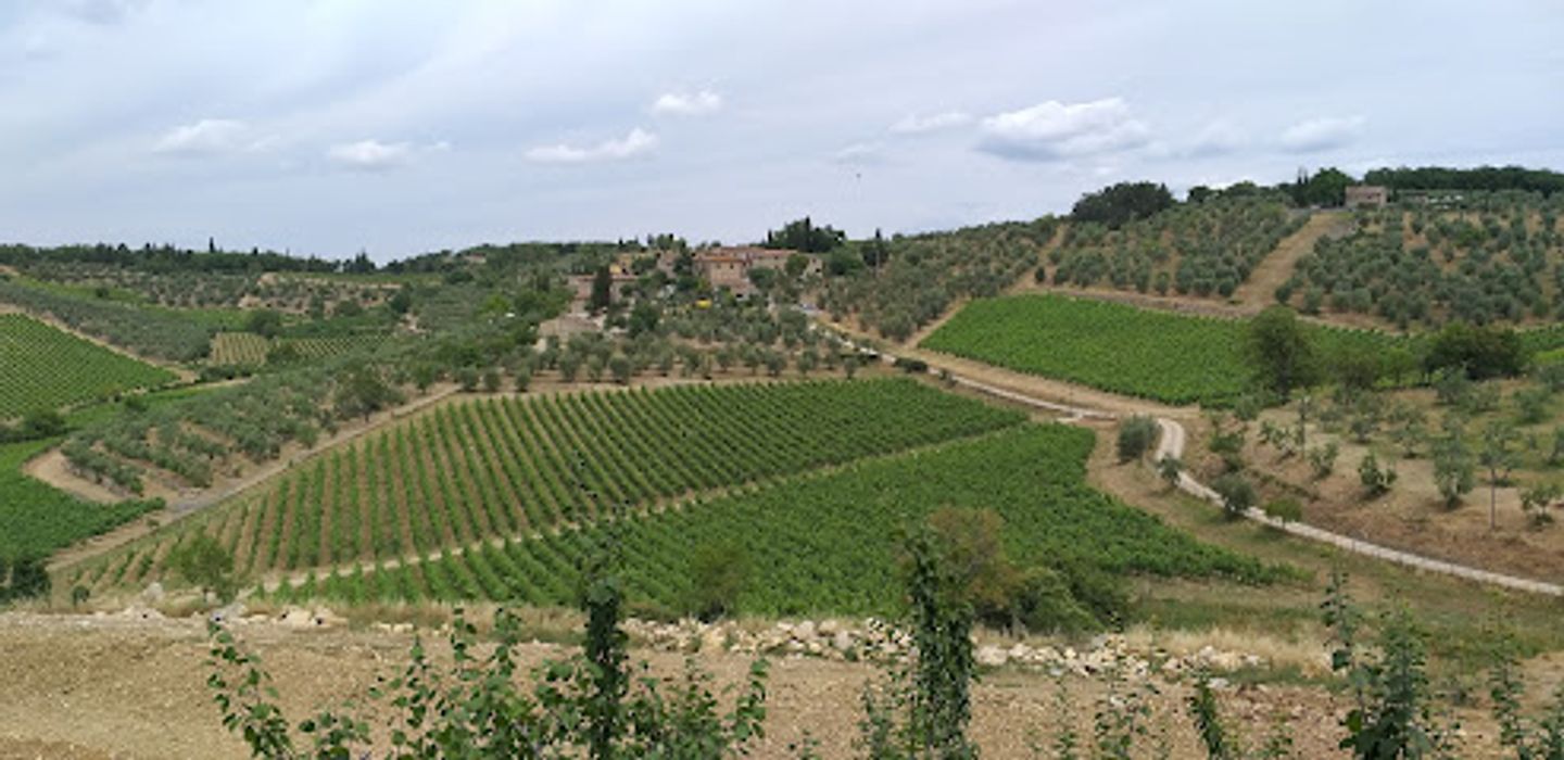 Castello di Ama
