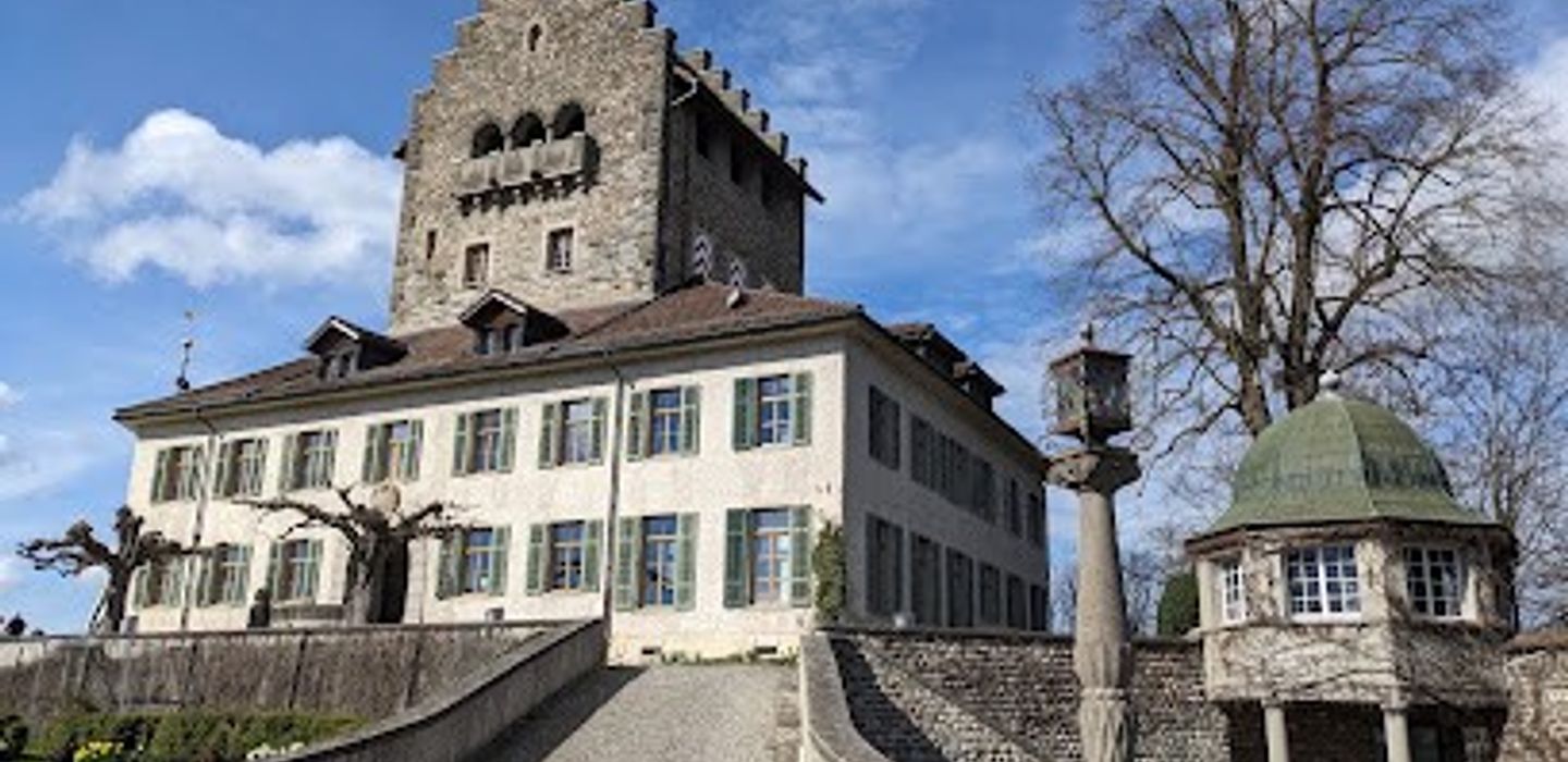 Castle Uster