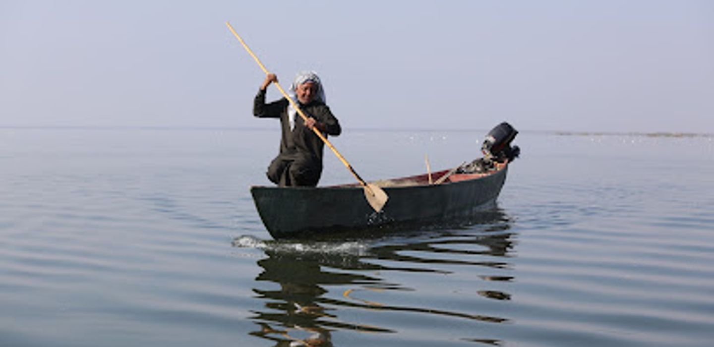 Background