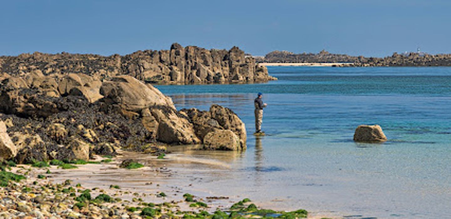 Alderney Point