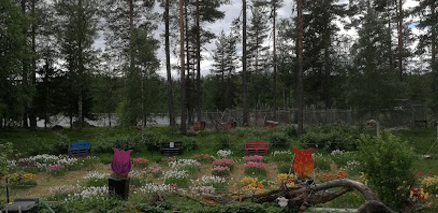 Background