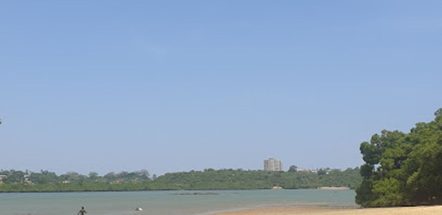 Background