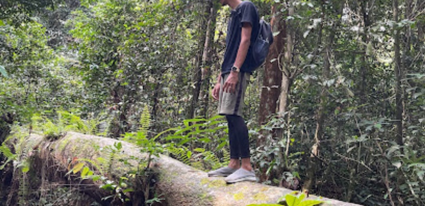 Background