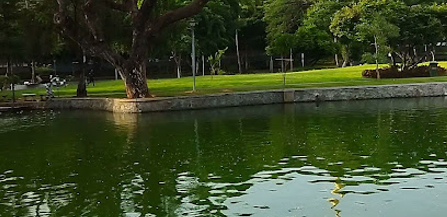 Background