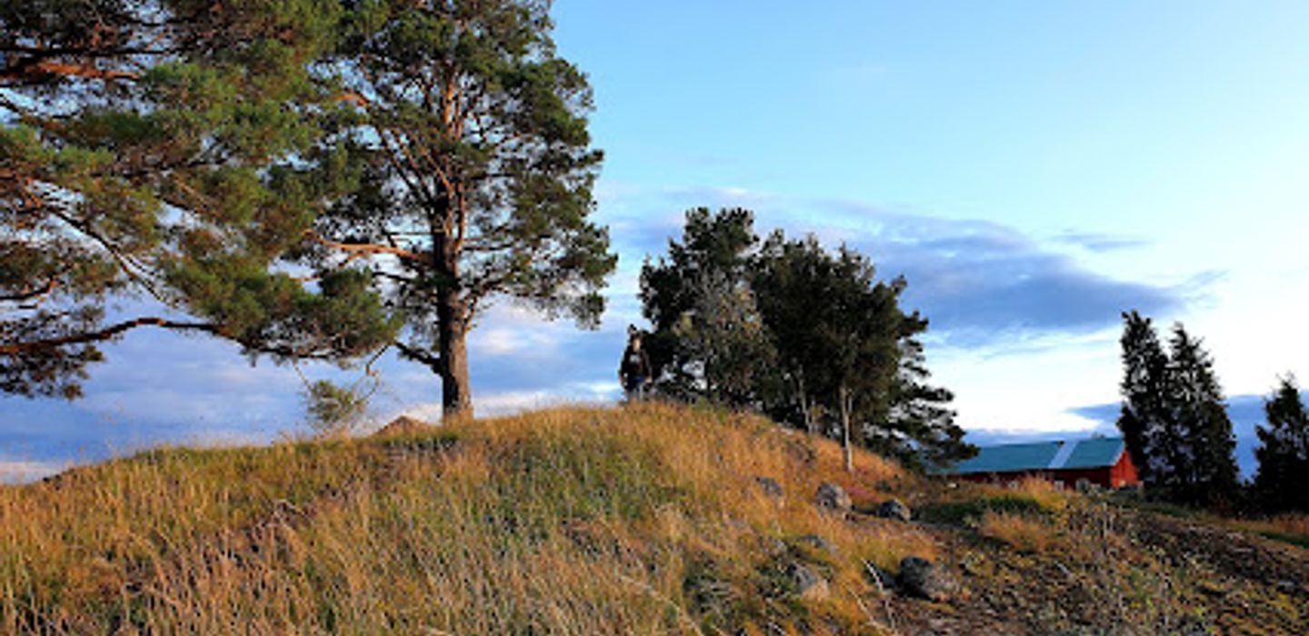 Background