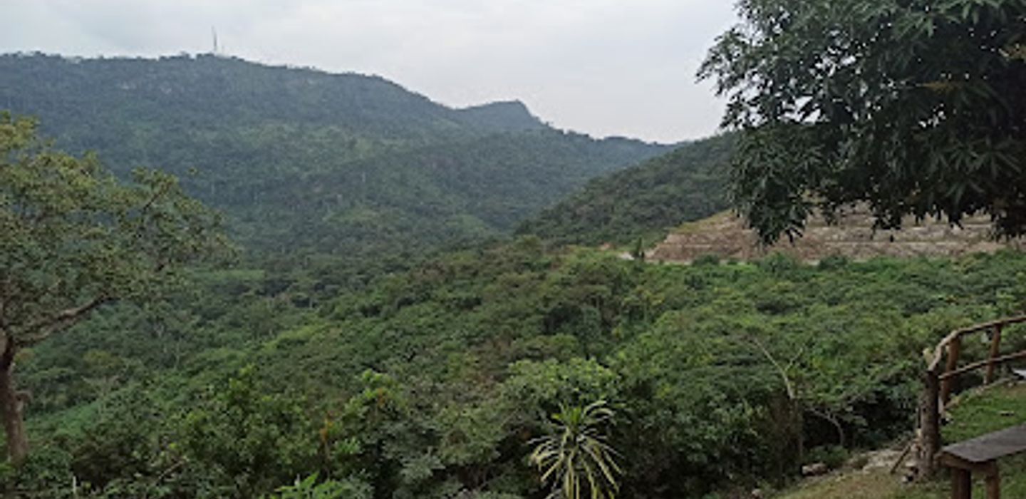 Background