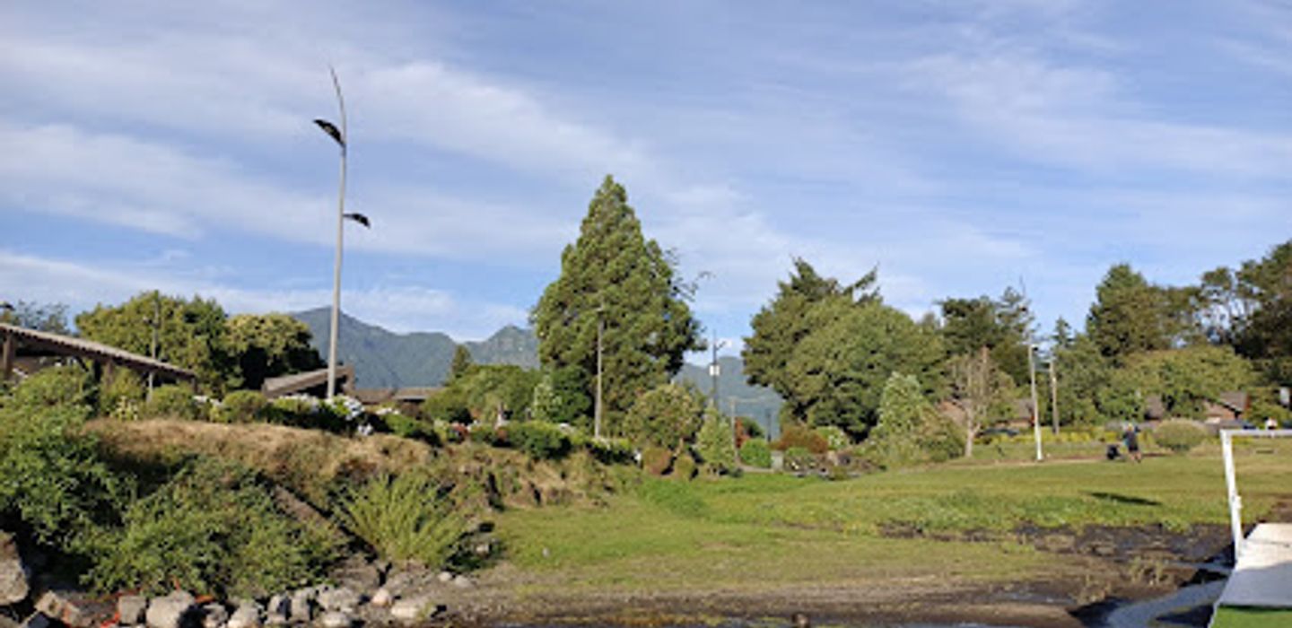Background