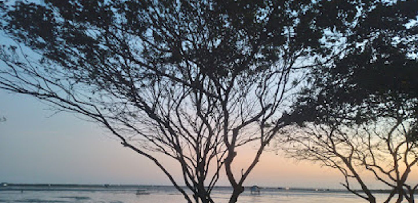 Background