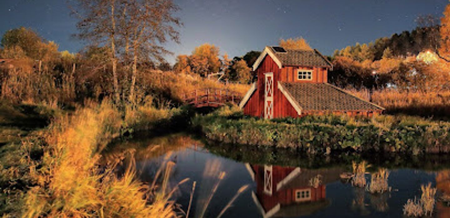 Background