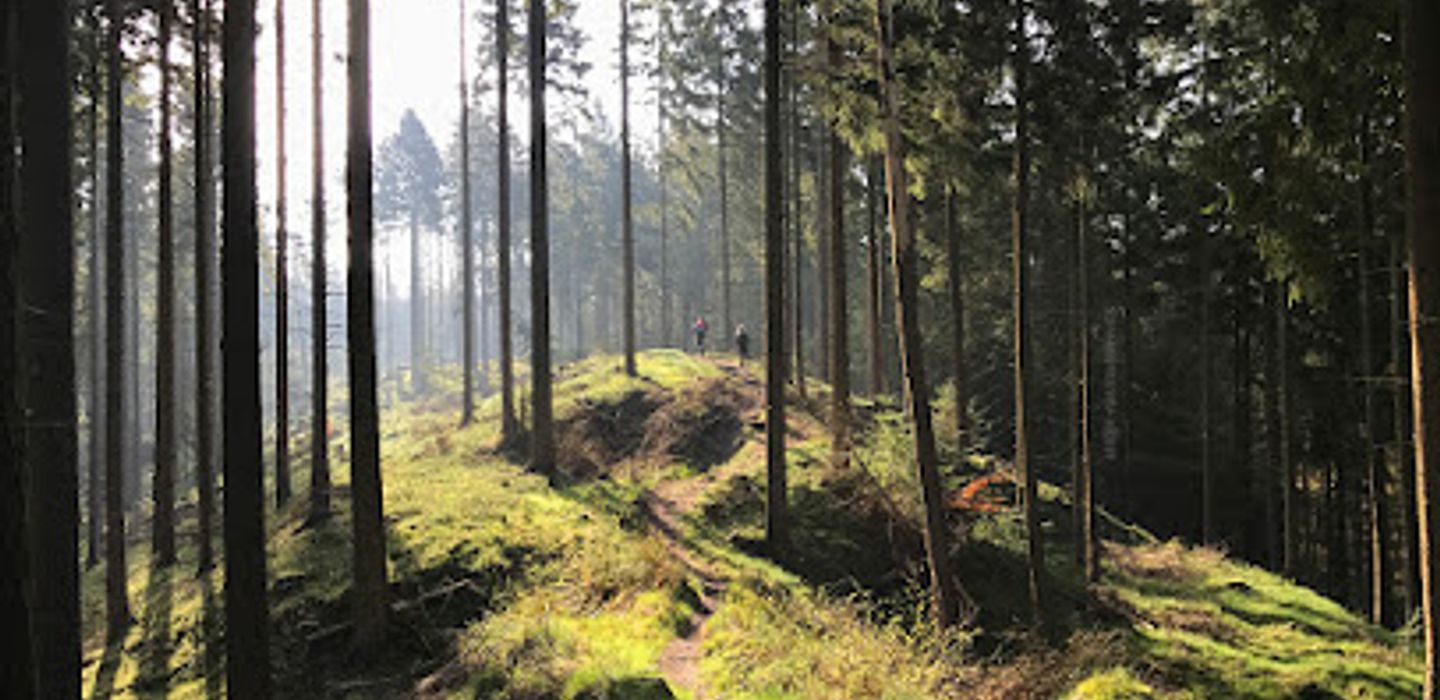 Knagerne Silkeborg