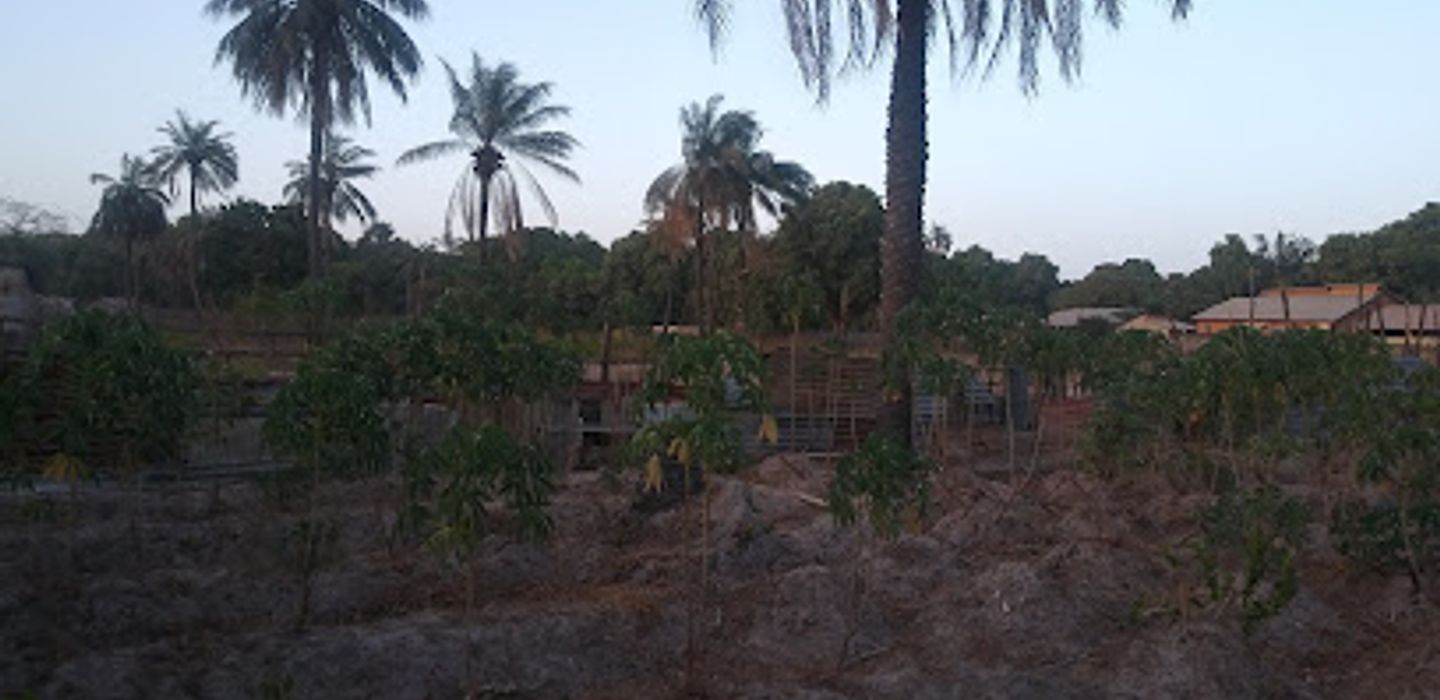 Background