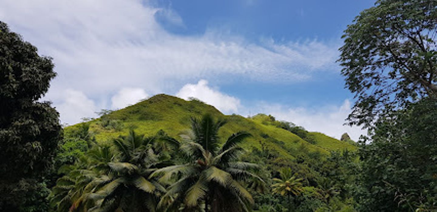 Background